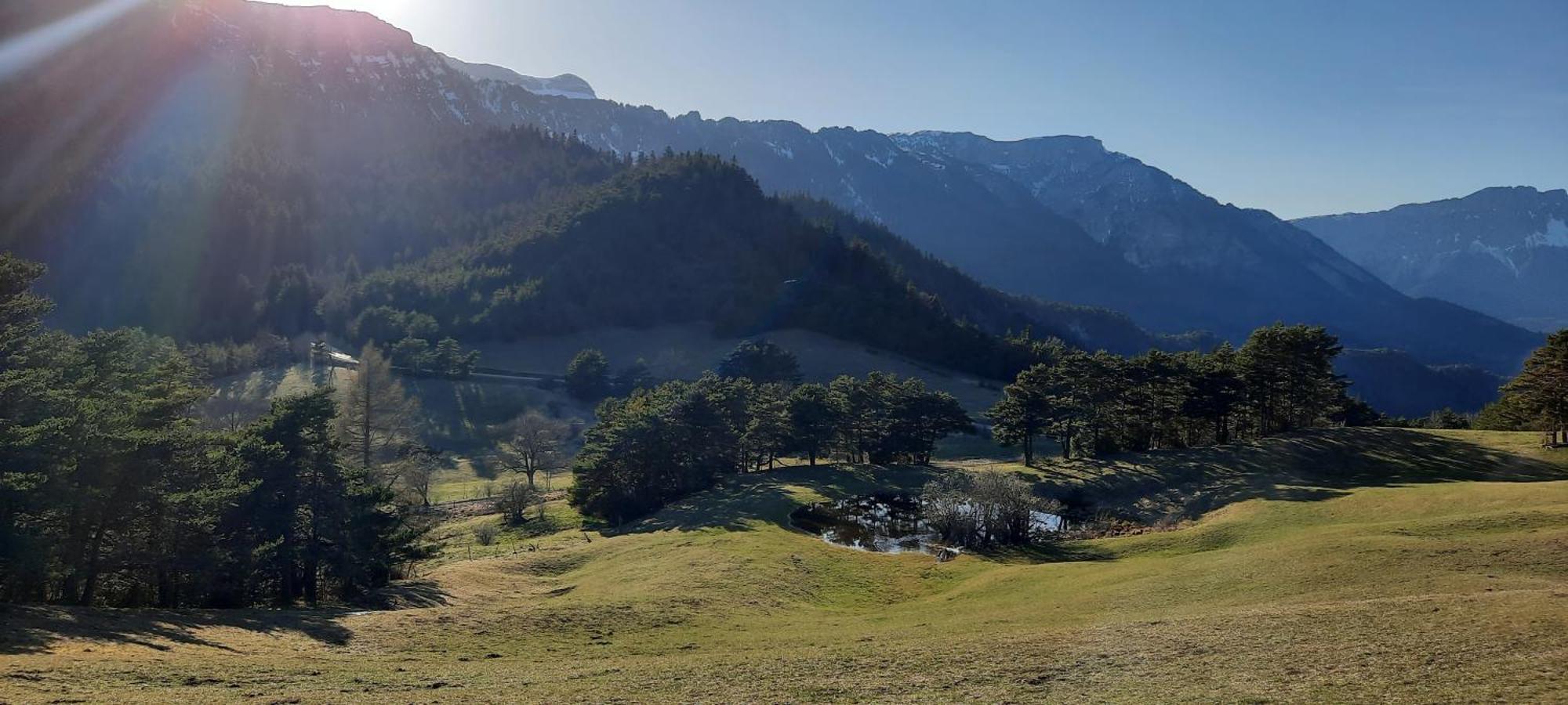 Les Vagabonds Du Mont Bed and Breakfast Chichilianne Exteriör bild