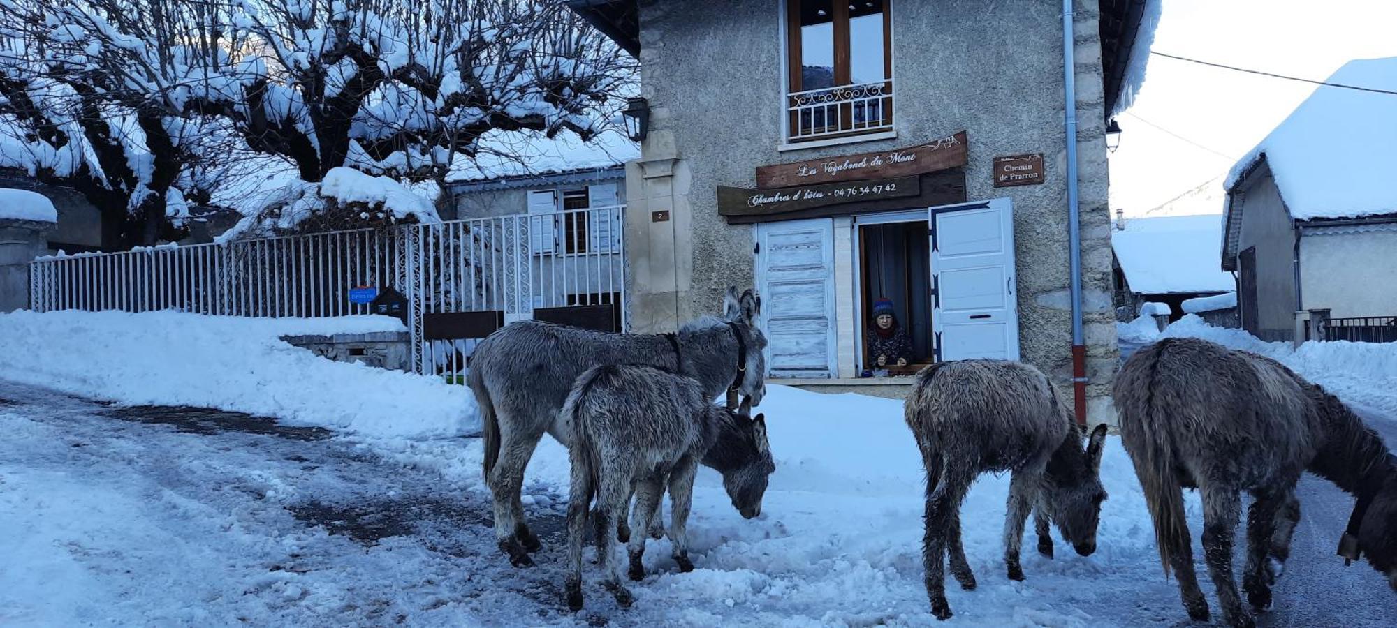 Les Vagabonds Du Mont Bed and Breakfast Chichilianne Exteriör bild